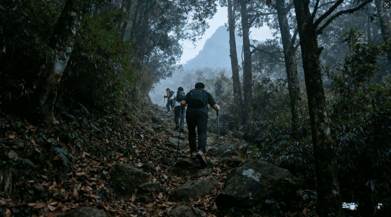 轻蜂加速器无法登陆FA的故障排查指南